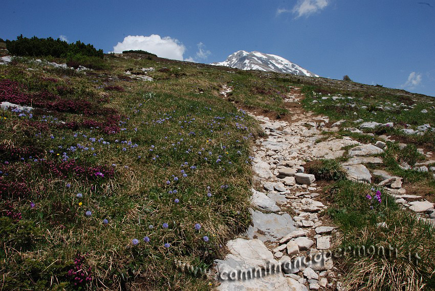 31 Sentiero Rifugio Capanna 2000.JPG